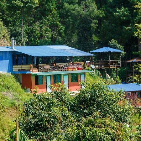 Jungle Crown Organic Homestay ナガルコット エクステリア 写真