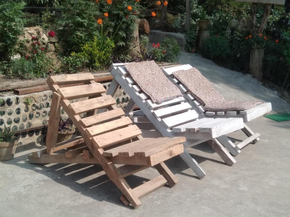 Jungle Crown Organic Homestay ナガルコット エクステリア 写真
