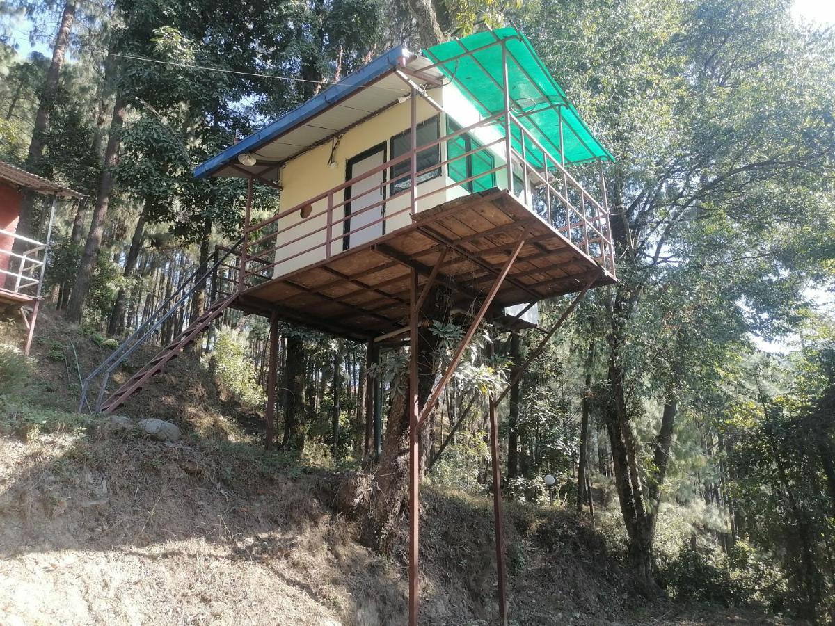 Jungle Crown Organic Homestay ナガルコット エクステリア 写真