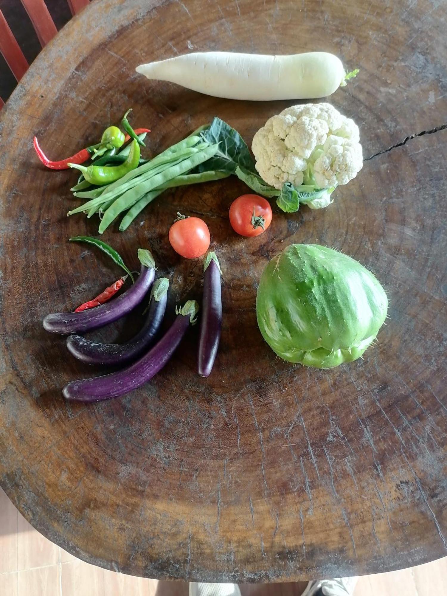 Jungle Crown Organic Homestay ナガルコット エクステリア 写真