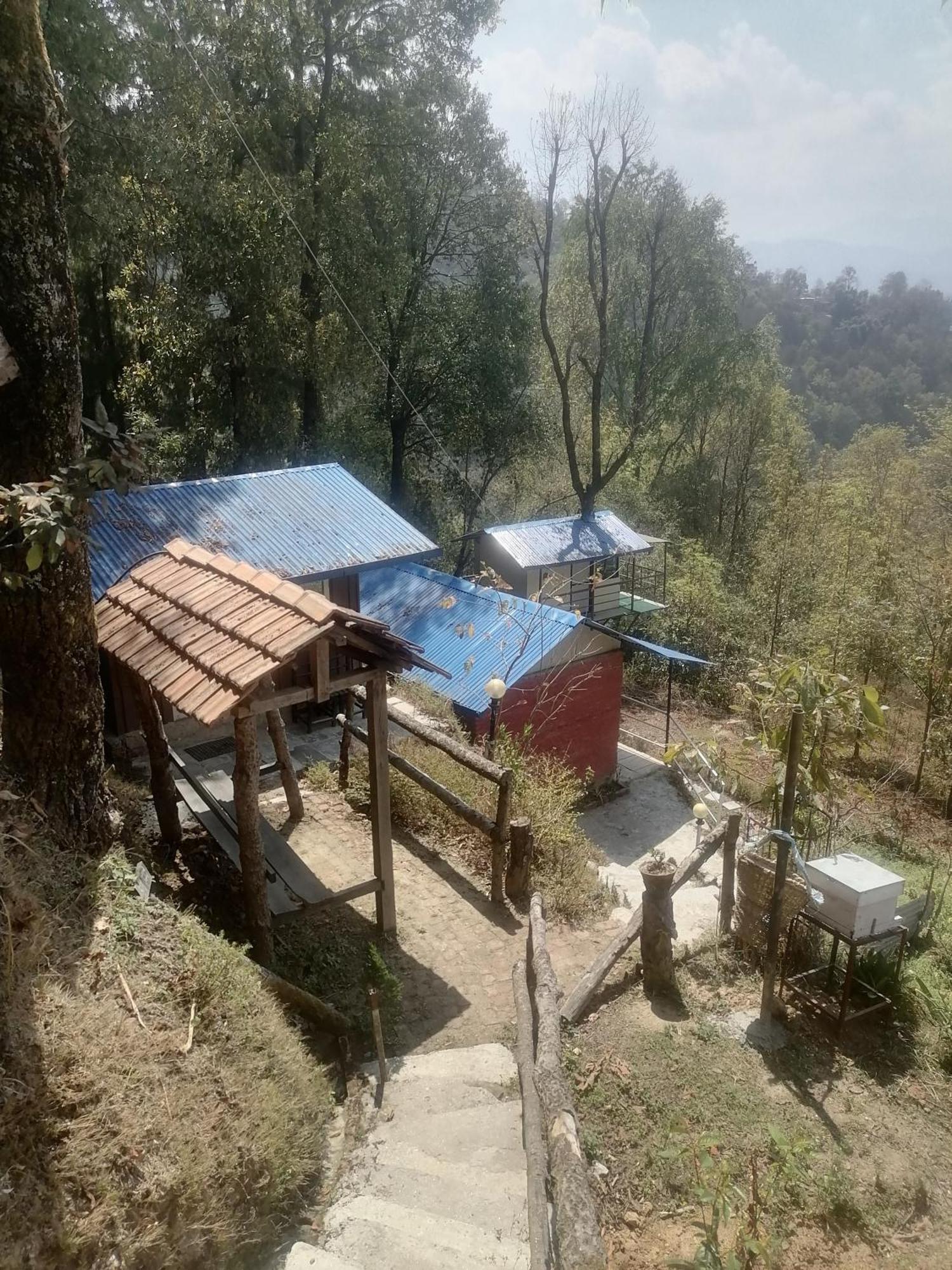 Jungle Crown Organic Homestay ナガルコット エクステリア 写真