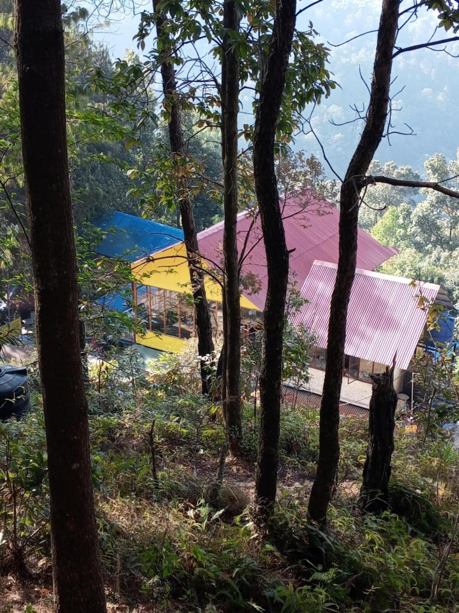 Jungle Crown Organic Homestay ナガルコット エクステリア 写真