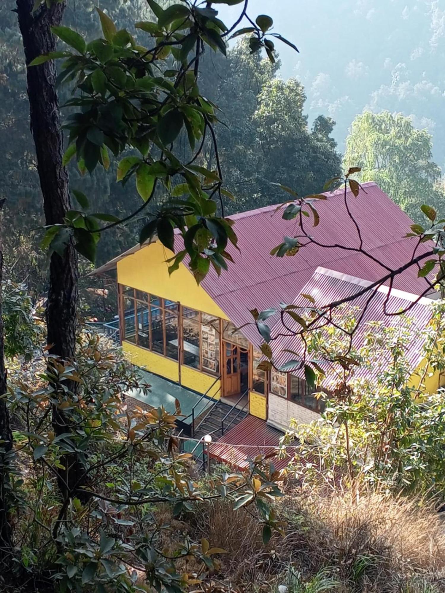 Jungle Crown Organic Homestay ナガルコット エクステリア 写真
