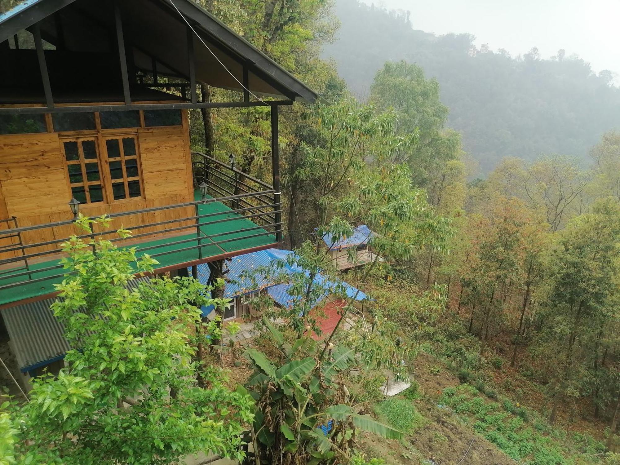 Jungle Crown Organic Homestay ナガルコット 部屋 写真