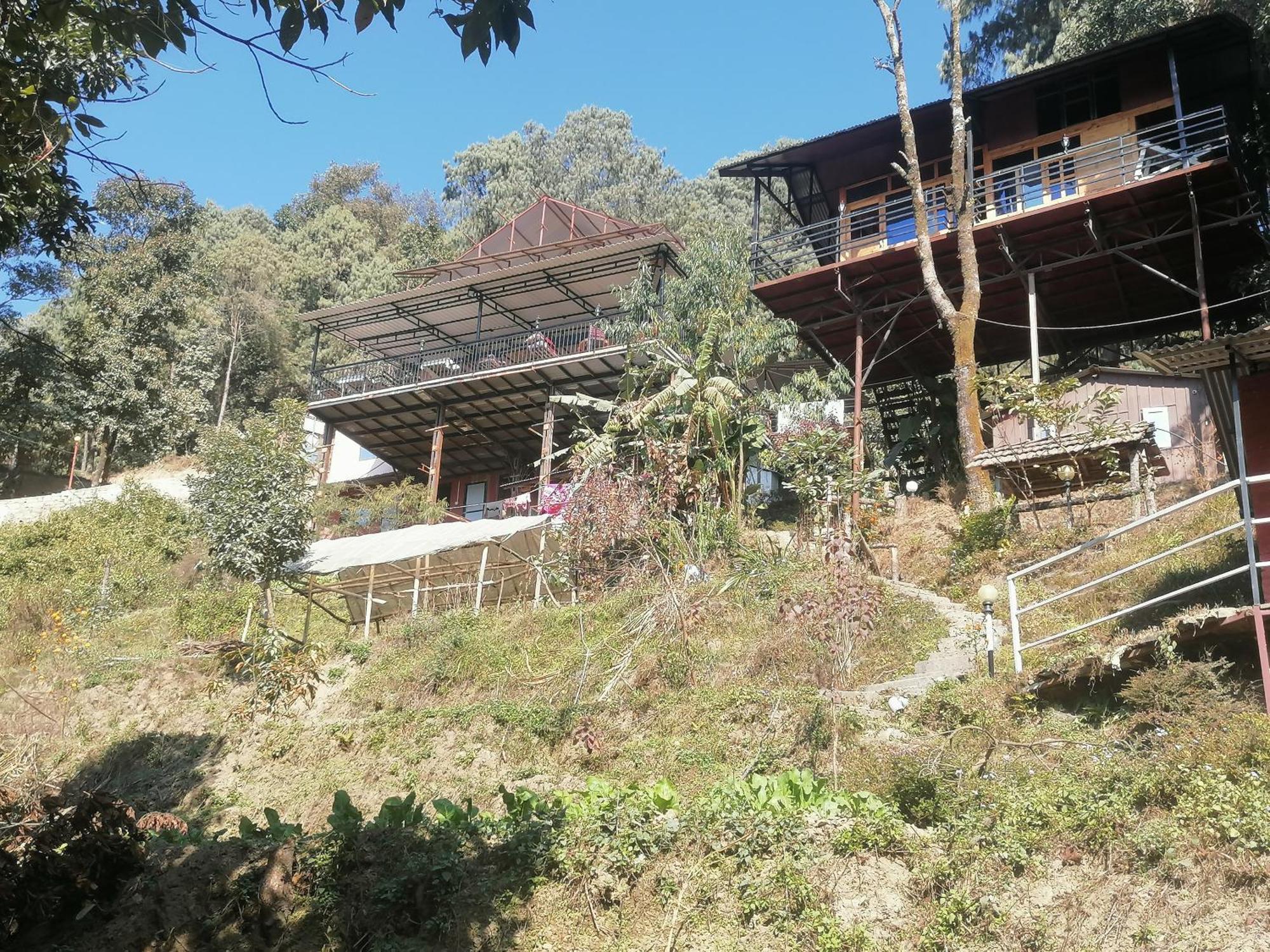 Jungle Crown Organic Homestay ナガルコット 部屋 写真