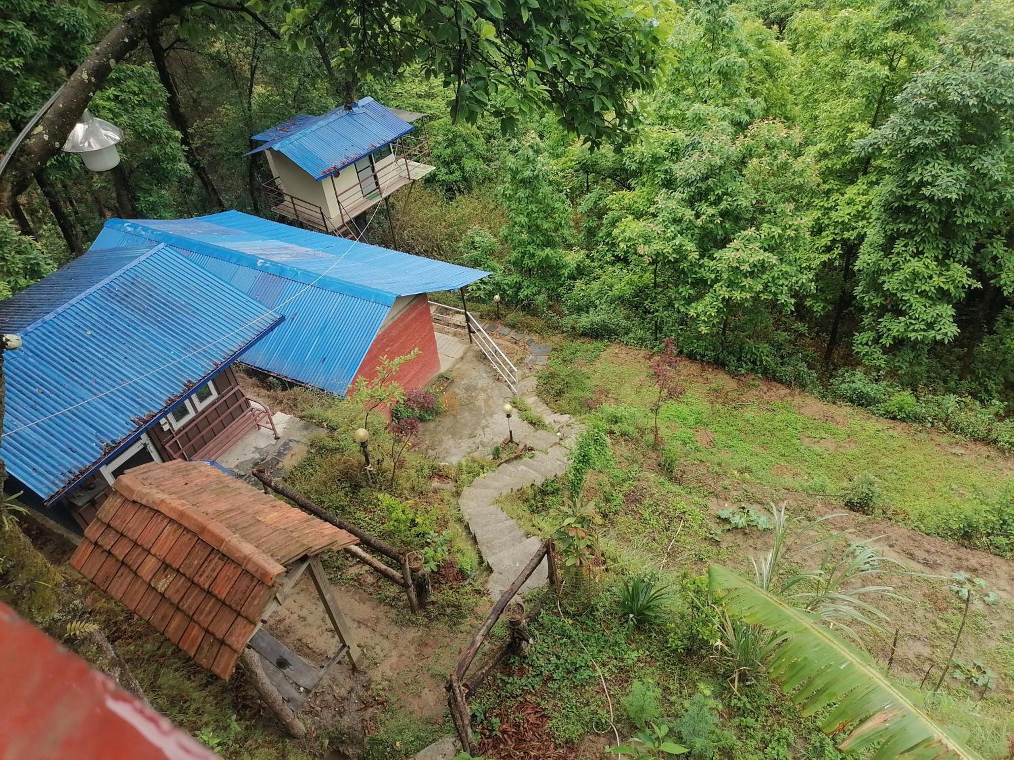 Jungle Crown Organic Homestay ナガルコット 部屋 写真
