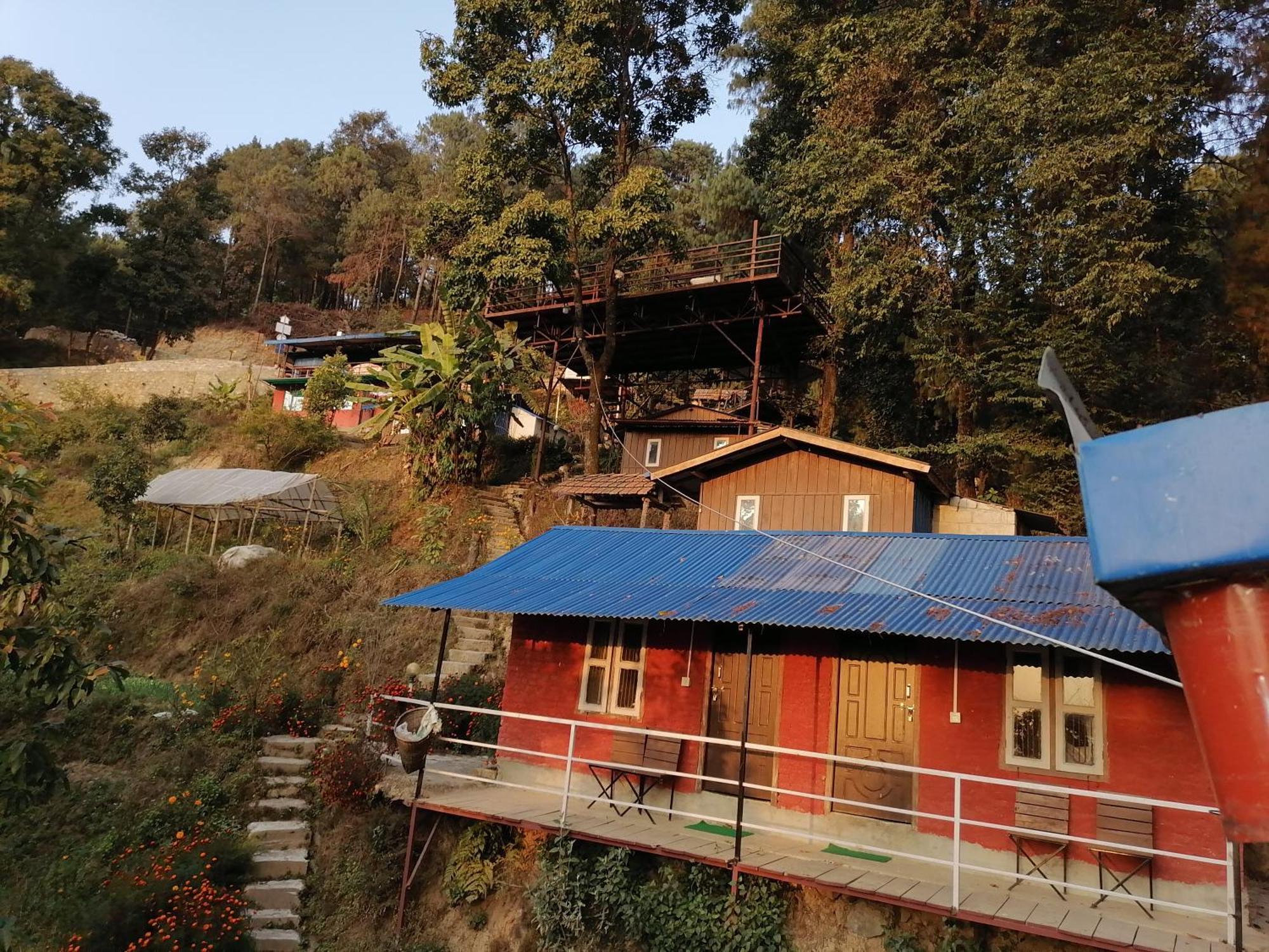 Jungle Crown Organic Homestay ナガルコット 部屋 写真