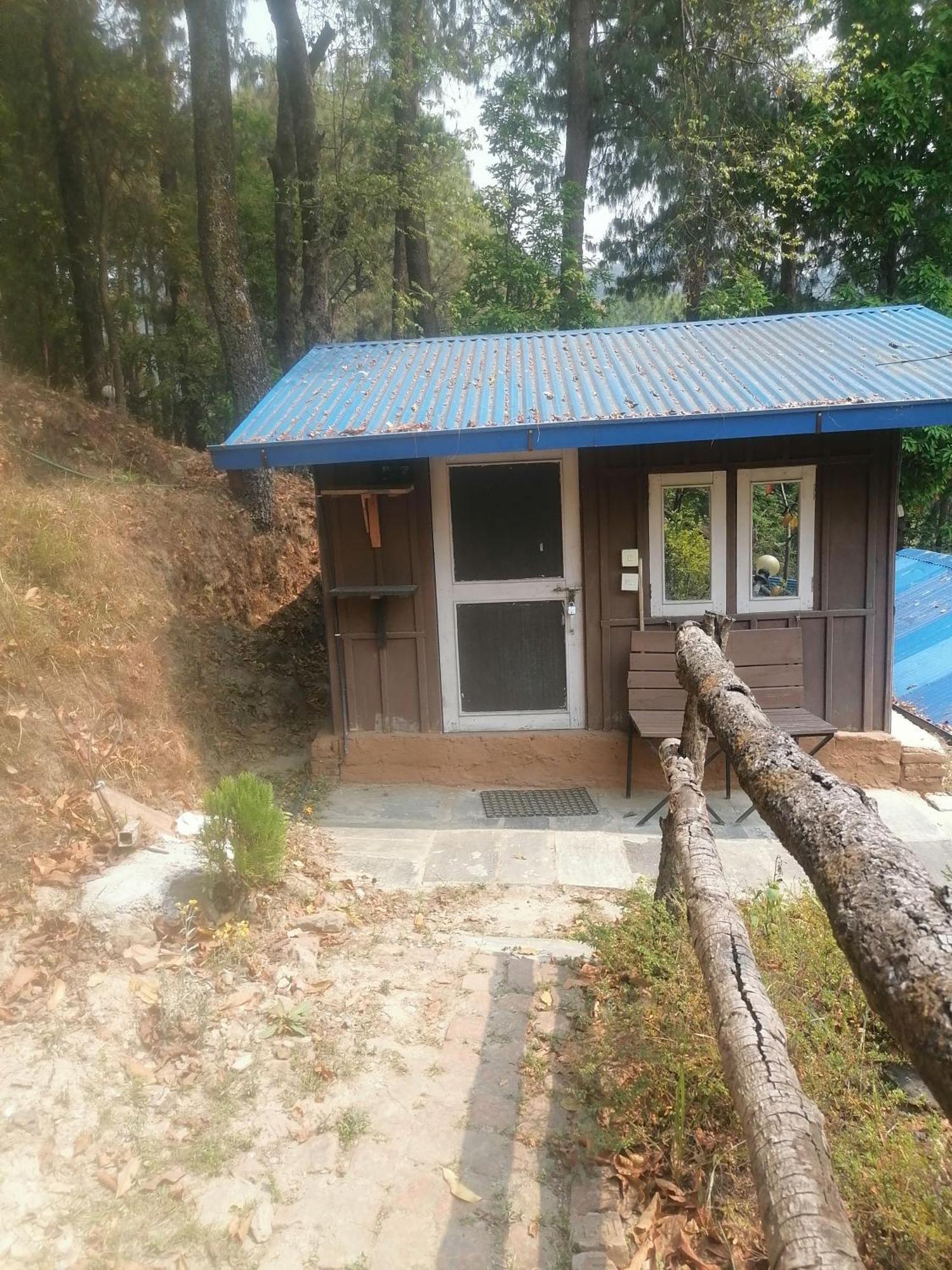 Jungle Crown Organic Homestay ナガルコット 部屋 写真