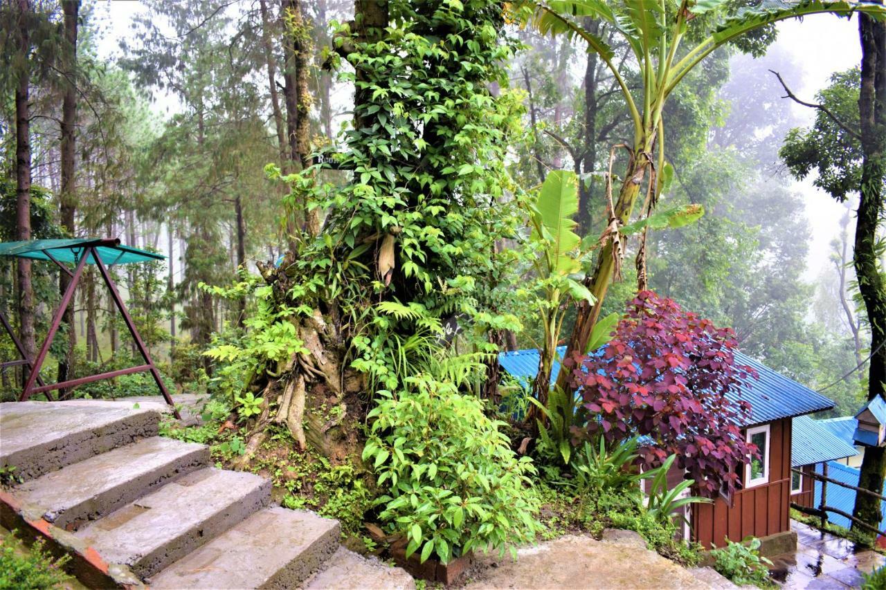 Jungle Crown Organic Homestay ナガルコット エクステリア 写真