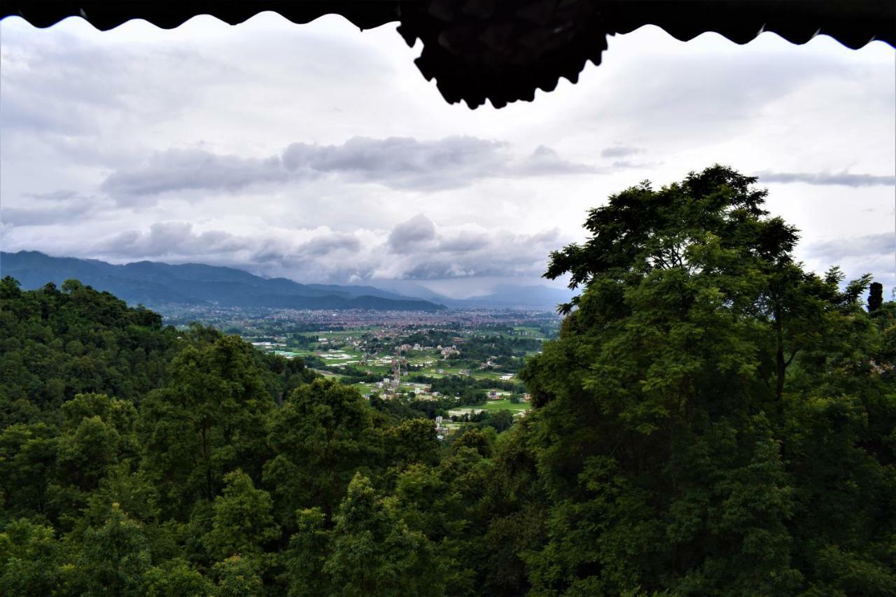 Jungle Crown Organic Homestay ナガルコット エクステリア 写真