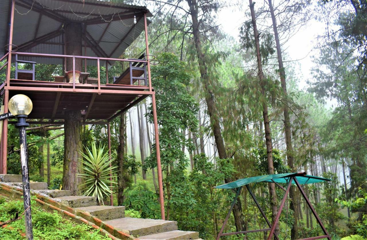 Jungle Crown Organic Homestay ナガルコット エクステリア 写真