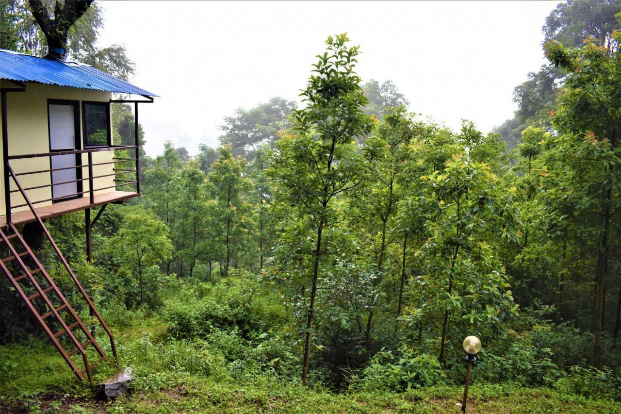 Jungle Crown Organic Homestay ナガルコット エクステリア 写真