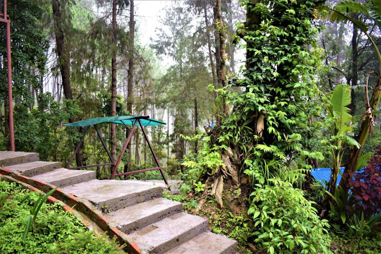 Jungle Crown Organic Homestay ナガルコット エクステリア 写真