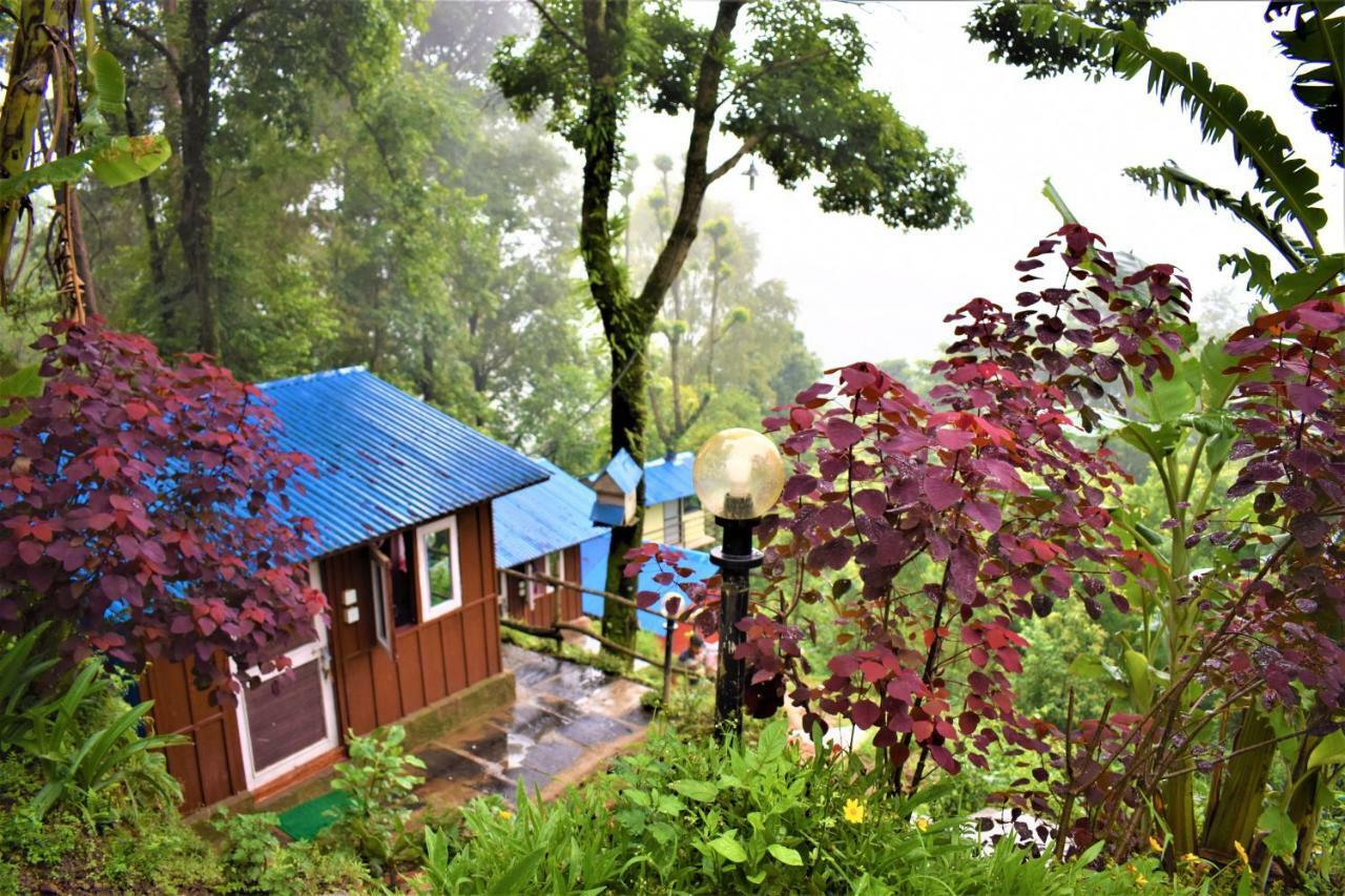 Jungle Crown Organic Homestay ナガルコット エクステリア 写真