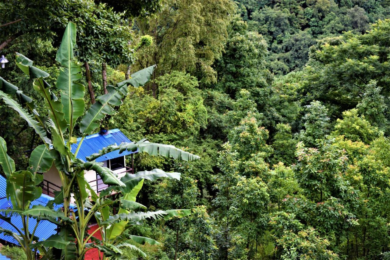 Jungle Crown Organic Homestay ナガルコット エクステリア 写真