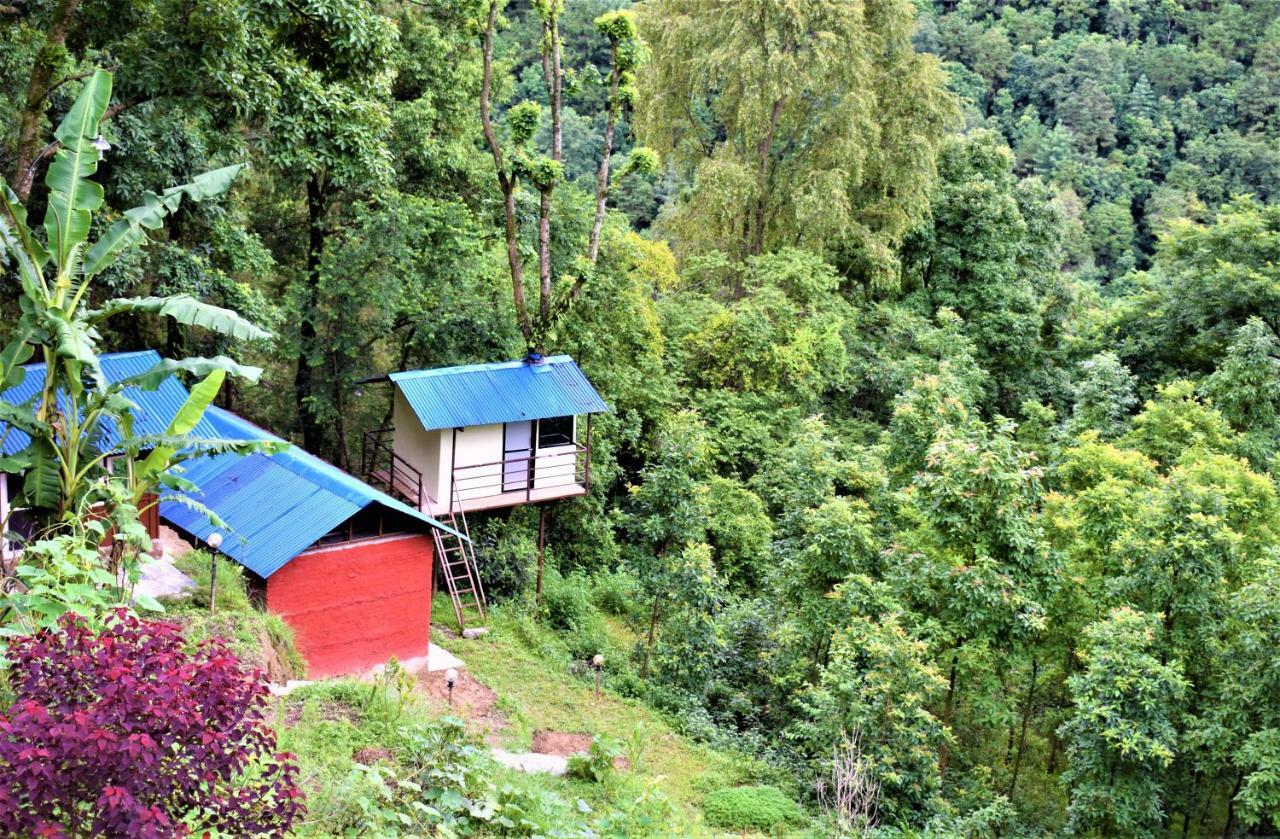 Jungle Crown Organic Homestay ナガルコット エクステリア 写真