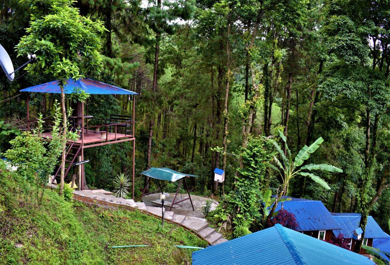 Jungle Crown Organic Homestay ナガルコット エクステリア 写真