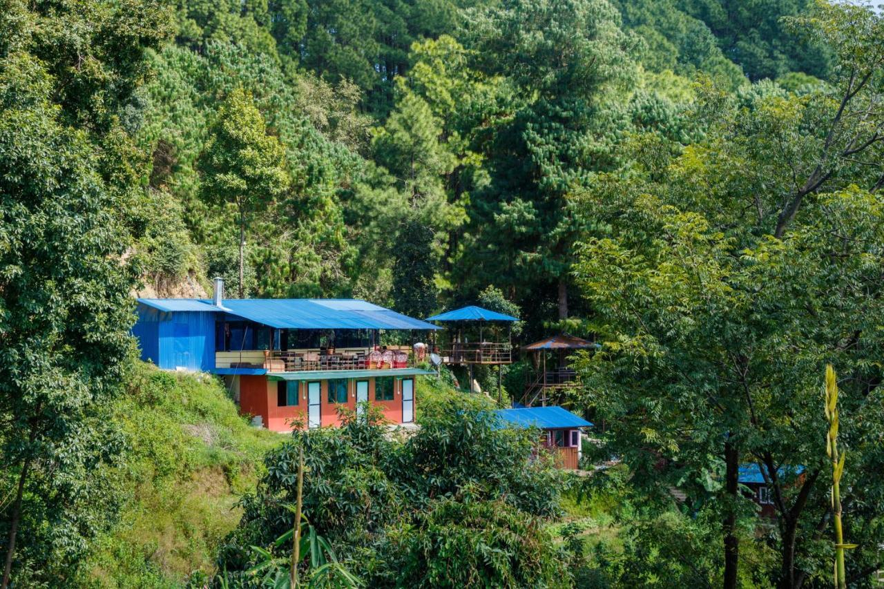 Jungle Crown Organic Homestay ナガルコット エクステリア 写真
