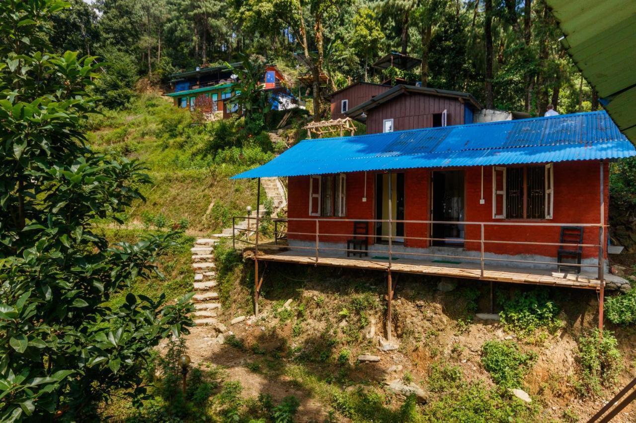 Jungle Crown Organic Homestay ナガルコット エクステリア 写真