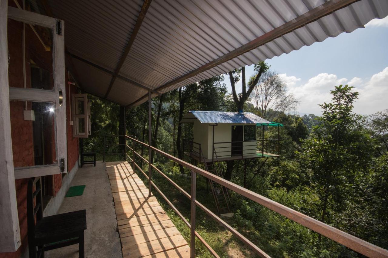 Jungle Crown Organic Homestay ナガルコット エクステリア 写真