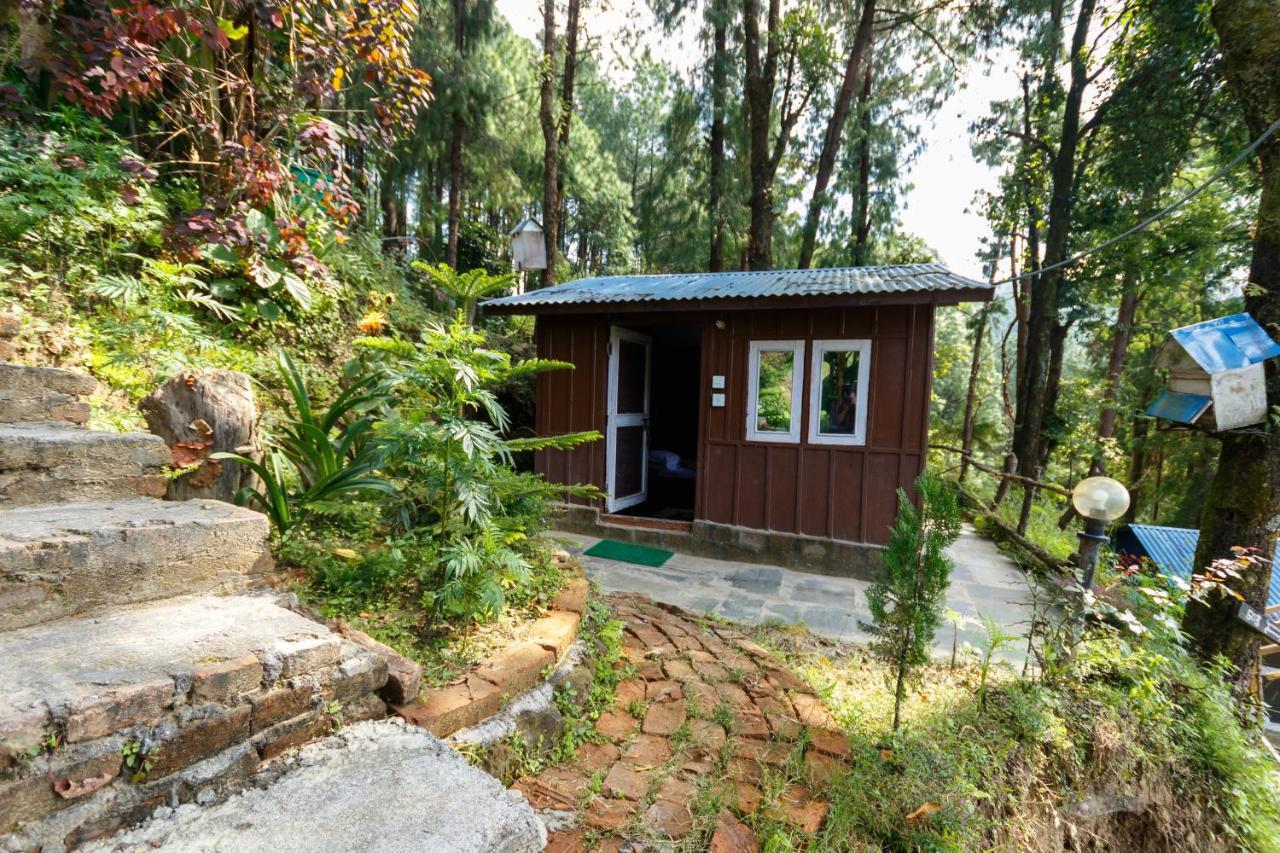 Jungle Crown Organic Homestay ナガルコット エクステリア 写真