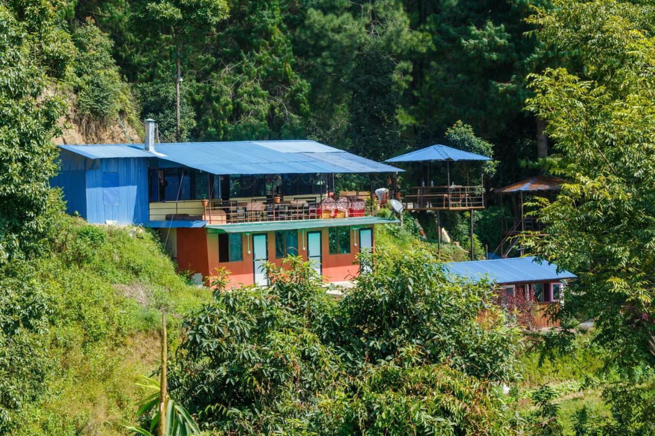 Jungle Crown Organic Homestay ナガルコット エクステリア 写真
