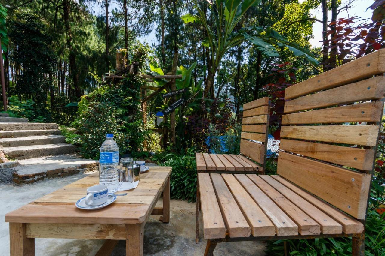Jungle Crown Organic Homestay ナガルコット エクステリア 写真
