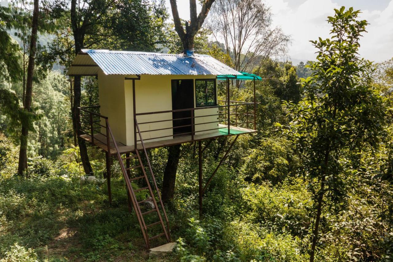 Jungle Crown Organic Homestay ナガルコット エクステリア 写真