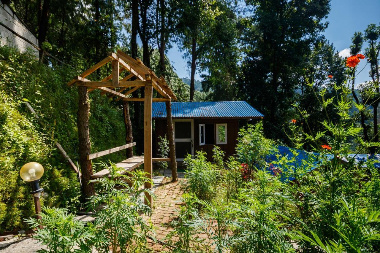 Jungle Crown Organic Homestay ナガルコット エクステリア 写真