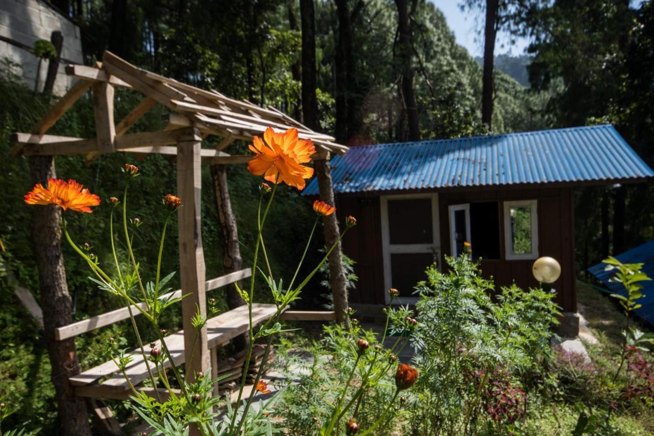 Jungle Crown Organic Homestay ナガルコット エクステリア 写真
