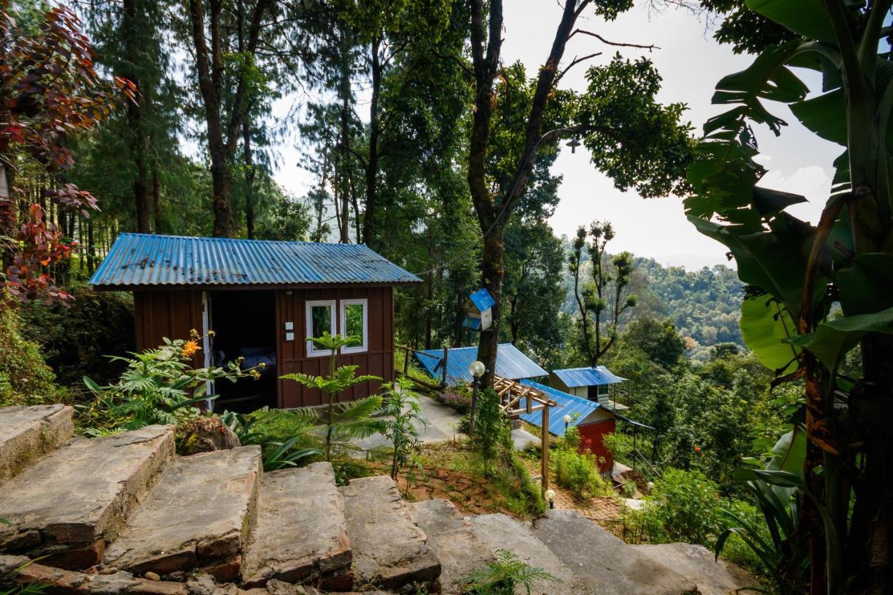 Jungle Crown Organic Homestay ナガルコット エクステリア 写真