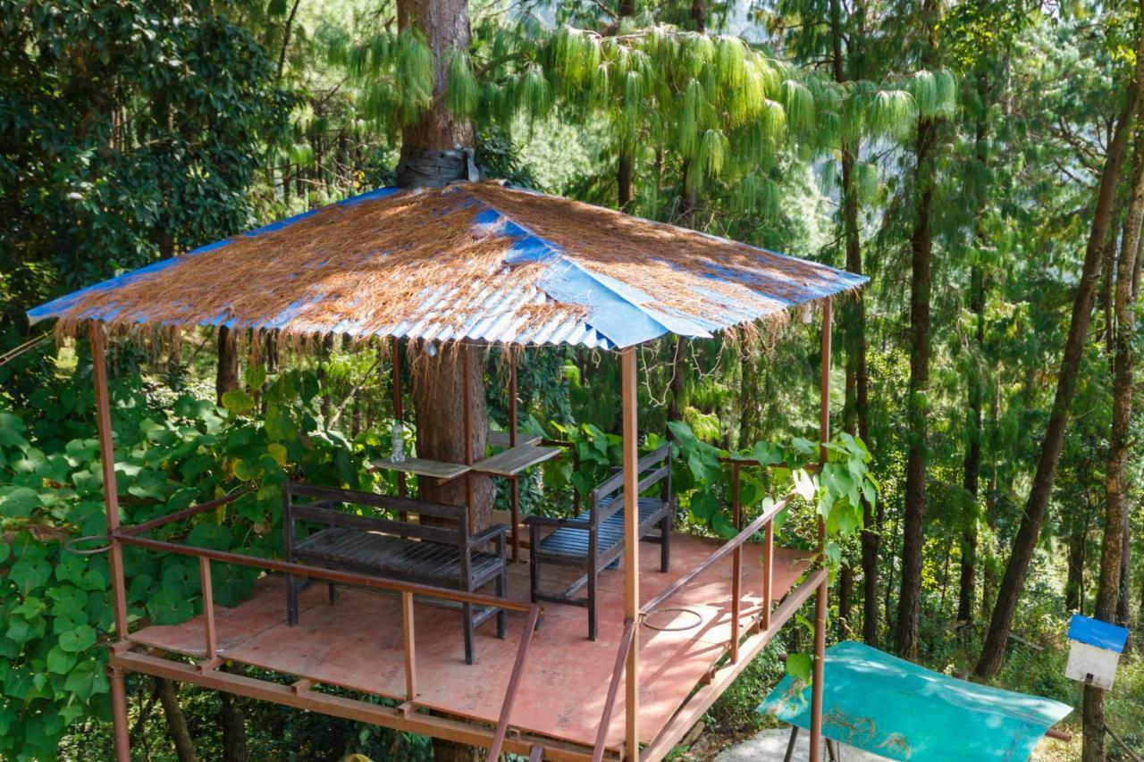 Jungle Crown Organic Homestay ナガルコット エクステリア 写真