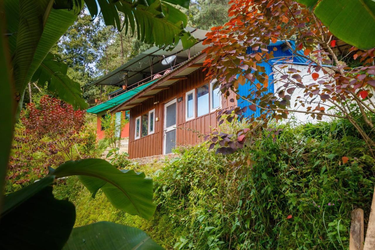 Jungle Crown Organic Homestay ナガルコット エクステリア 写真