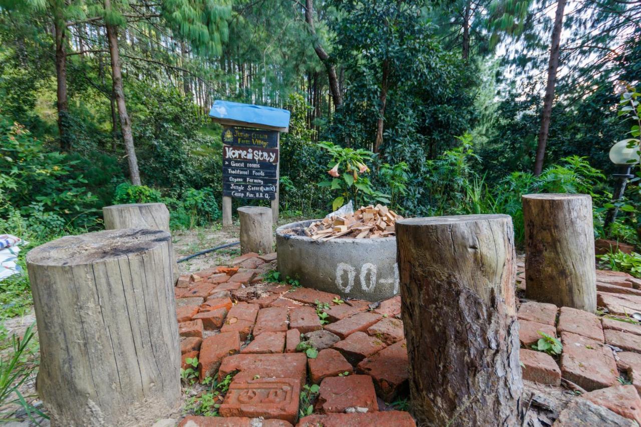 Jungle Crown Organic Homestay ナガルコット エクステリア 写真