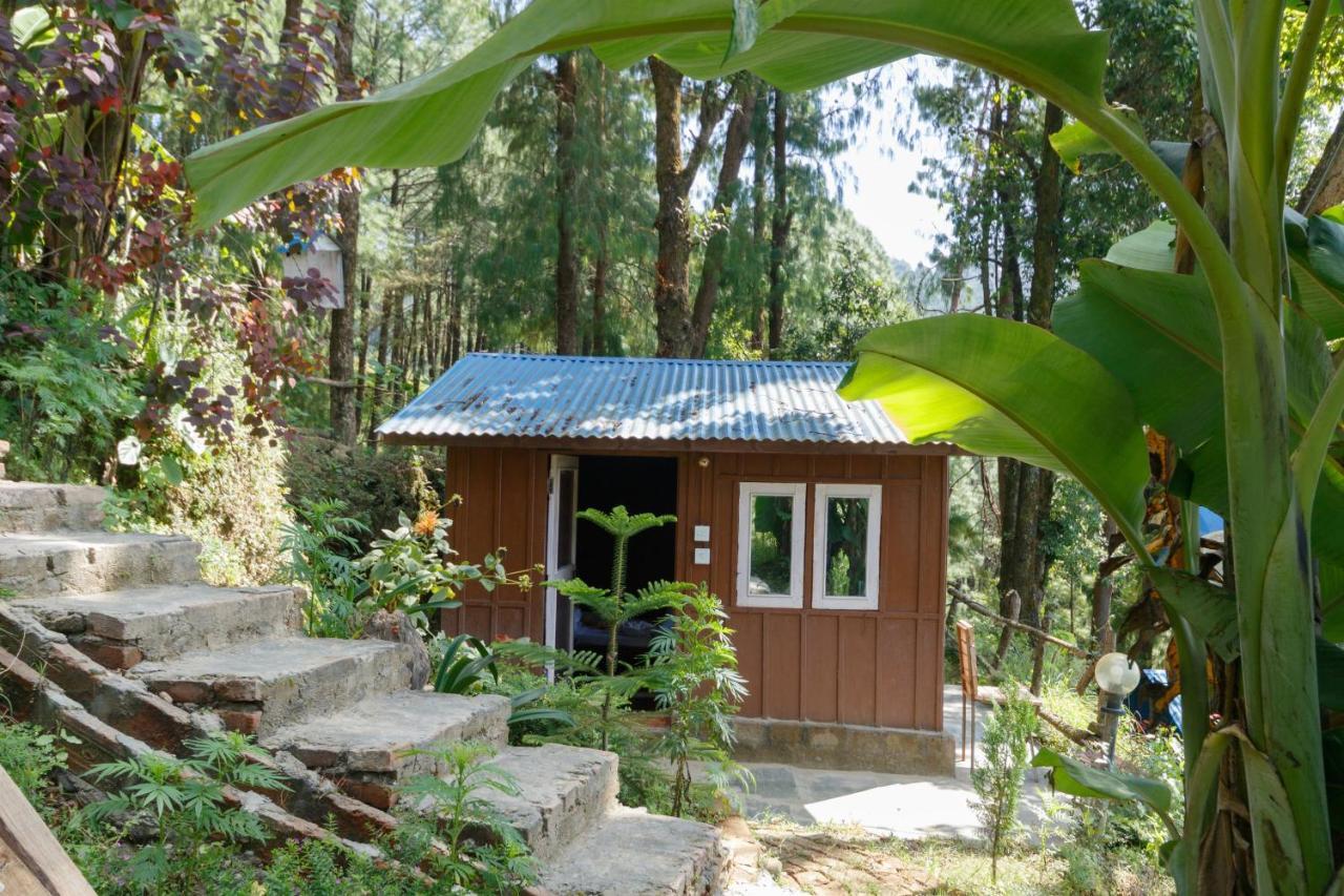 Jungle Crown Organic Homestay ナガルコット エクステリア 写真